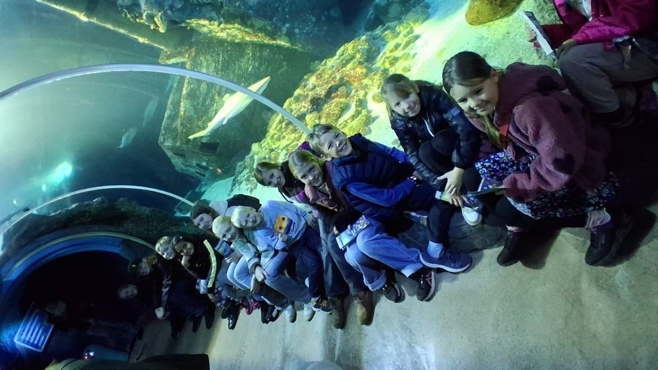 2026 10 11 Sealife1